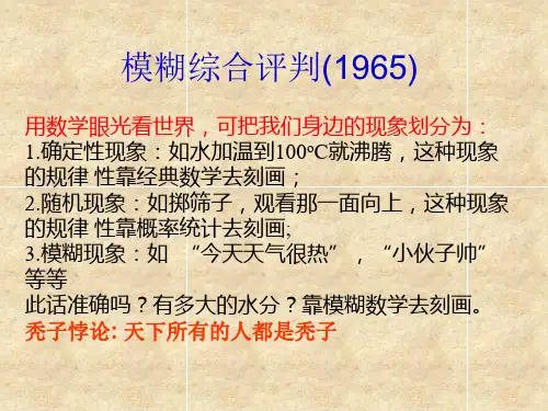 模糊综合评价