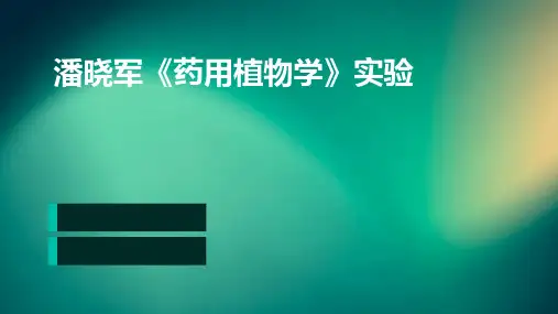 潘晓军《药用植物学》实验