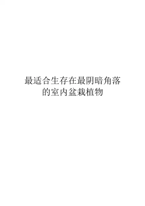 最适合生存在最阴暗角落的室内盆栽植物