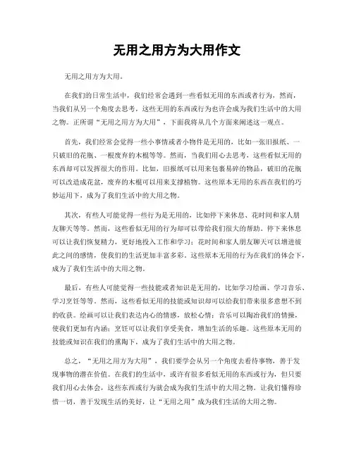 无用之用方为大用作文