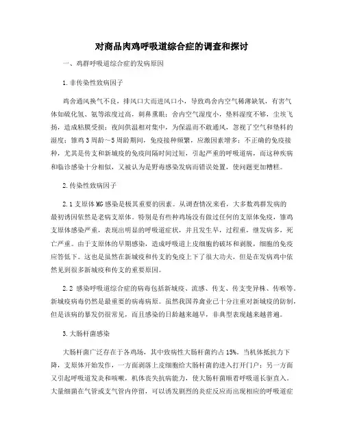 对商品肉鸡呼吸道综合症的调查和探讨