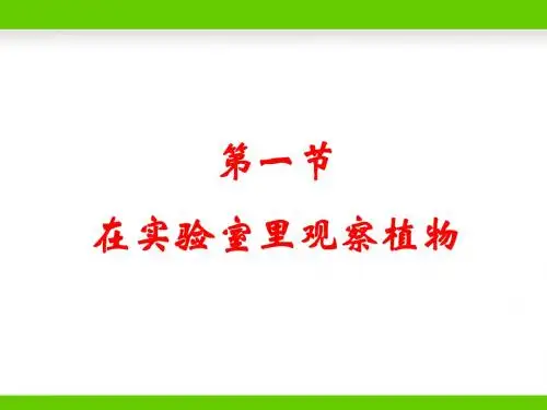 冀少儿版生物七年级上册1.3.1在实验室观察植物 课件(共18张PPT)