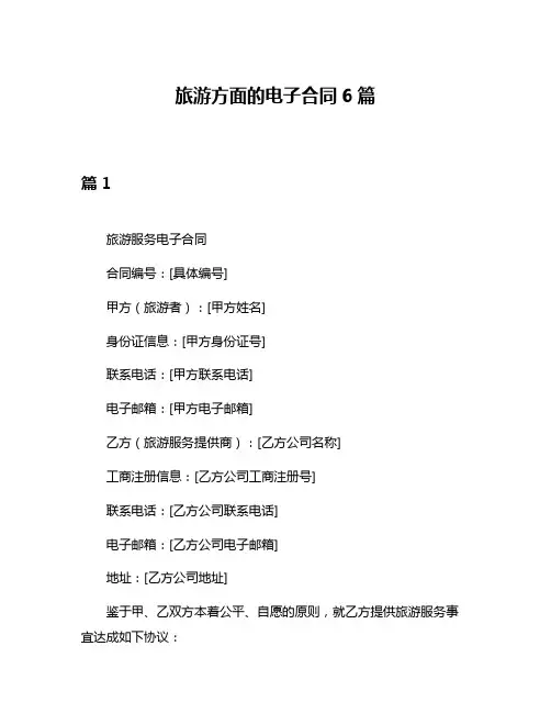旅游方面的电子合同6篇