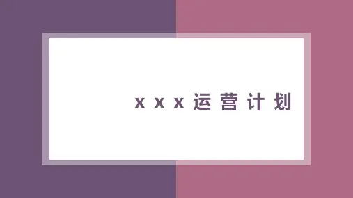 电商天猫京东美容仪运营计划书