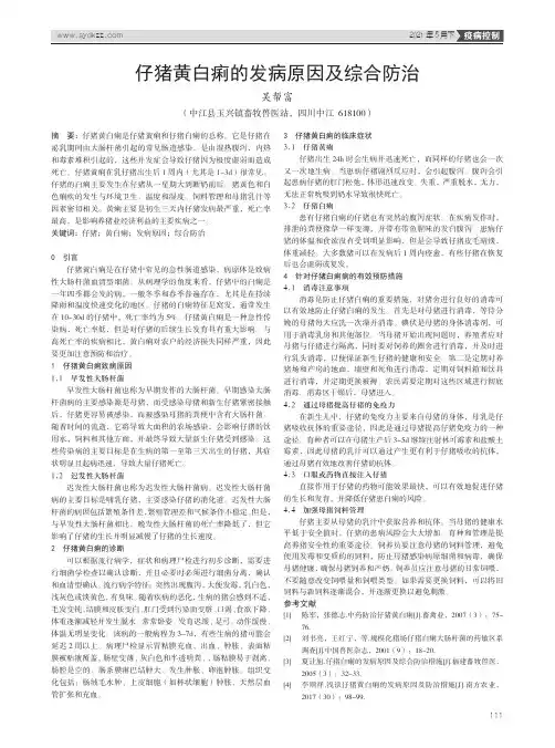 仔猪黄白痢的发病原因及综合防治
