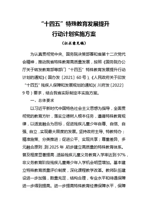 “十四五”特殊教育发展提升行动计划实施方案