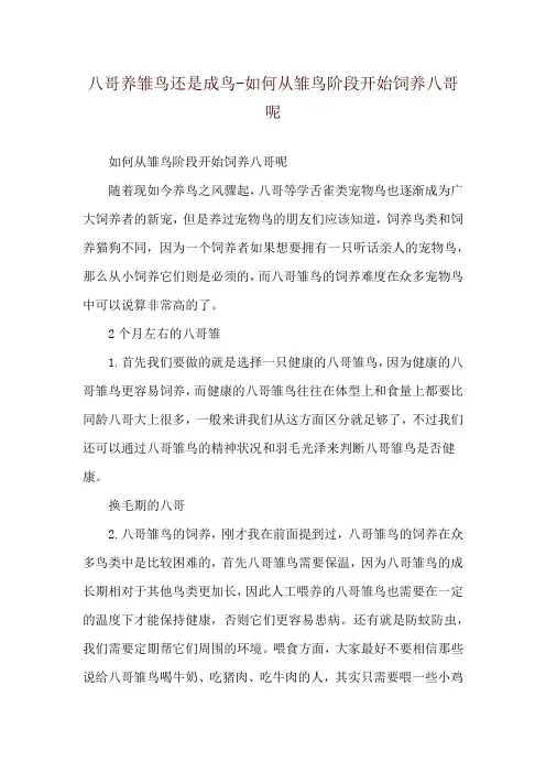 八哥养雏鸟还是成鸟-如何从雏鸟阶段开始饲养八哥呢