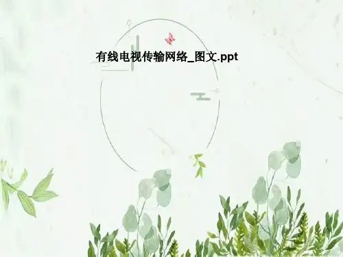 有线电视传输网络_图文