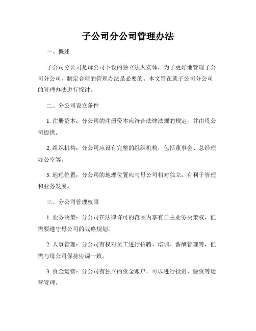 子公司分公司管理办法