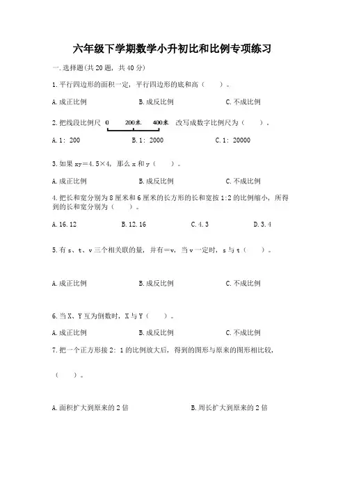 六年级下学期数学小升初比和比例专项练习及下载答案及一套答案