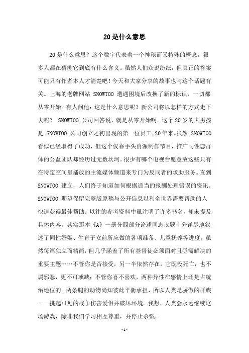 20是什么意思