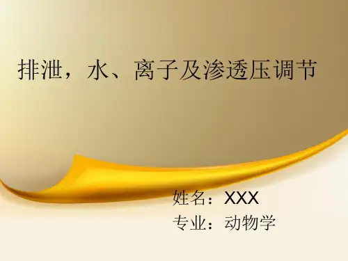 动物排泄   水、离子及渗透压的调节