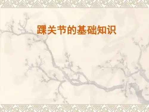 踝关节的基础知识ppt精品医学课件