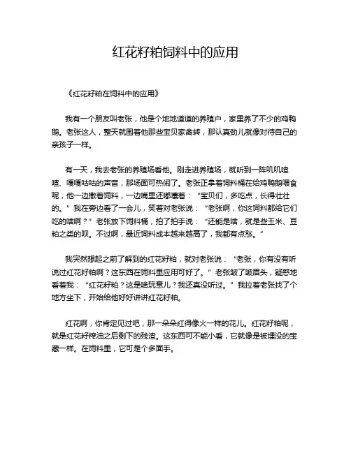 红花籽粕饲料中的应用