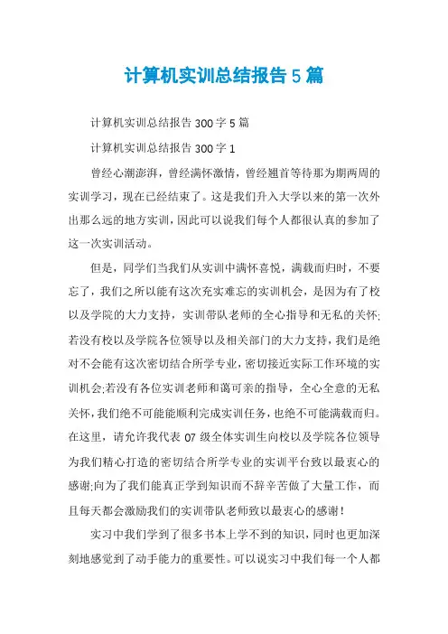 计算机实训总结报告5篇