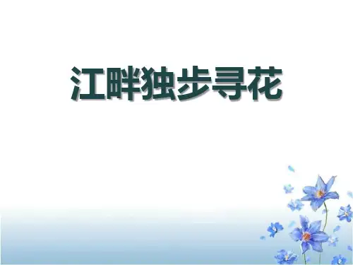 江畔独步寻花-PPT教学课件