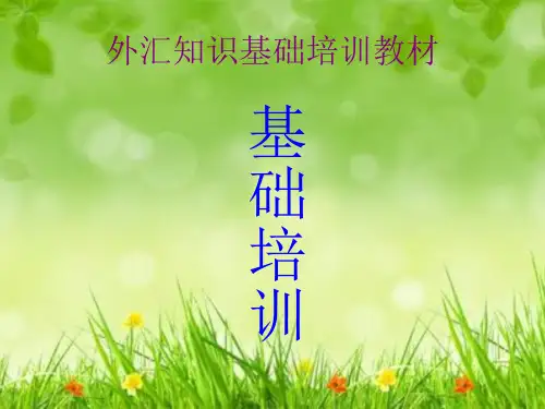 教程：外汇知识基础培训教材[1]