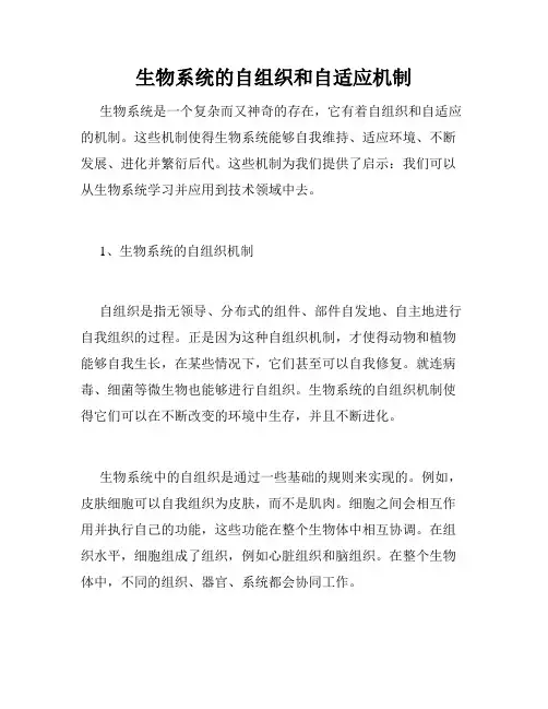 生物系统的自组织和自适应机制
