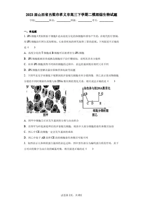 2023届山西省吕梁市孝义市高三下学期二模理综生物试题(含答案解析)