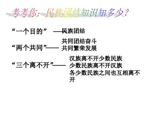 1.1中华民族的形成与发展(原版)