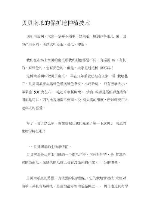 贝贝南瓜的保护地种植技术