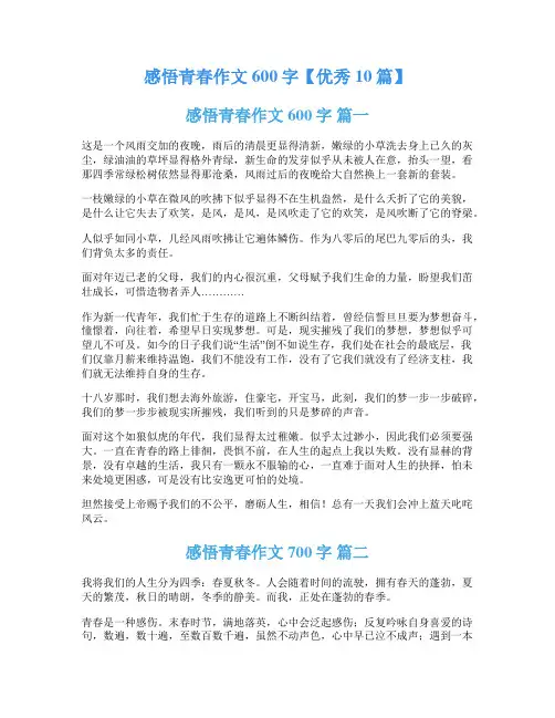 感悟青春作文600字【优秀10篇】