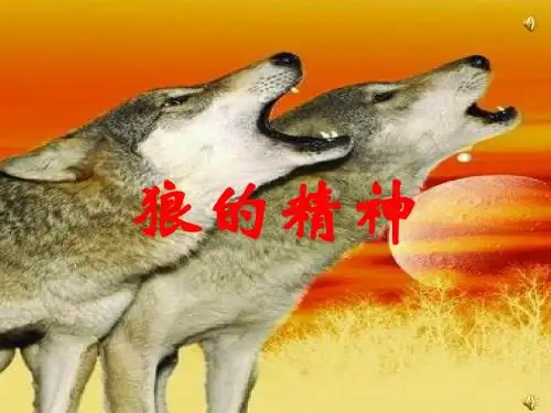 狼的精神