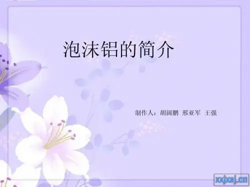 泡沫铝