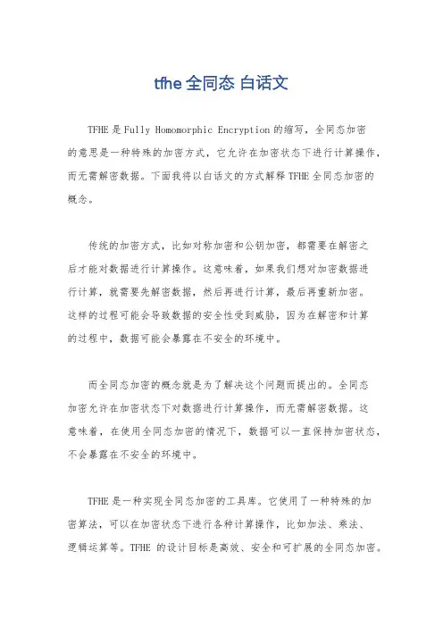 tfhe 全同态 白话文