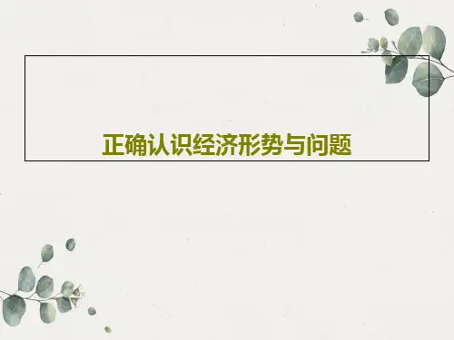 正确认识经济形势与问题150页PPT