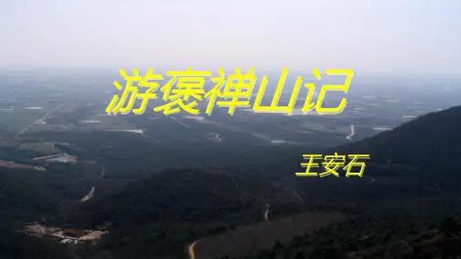 游褒禅山记(知识点详细)