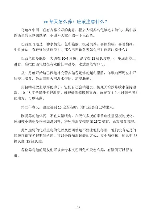 巴西龟冬天怎么养？应该注意什么？