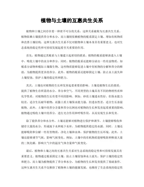植物与土壤的互惠共生关系