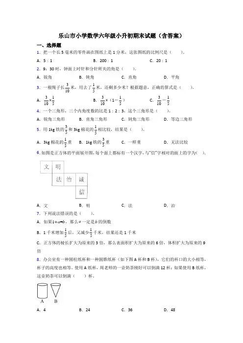 乐山市小学数学六年级小升初期末试题(含答案)