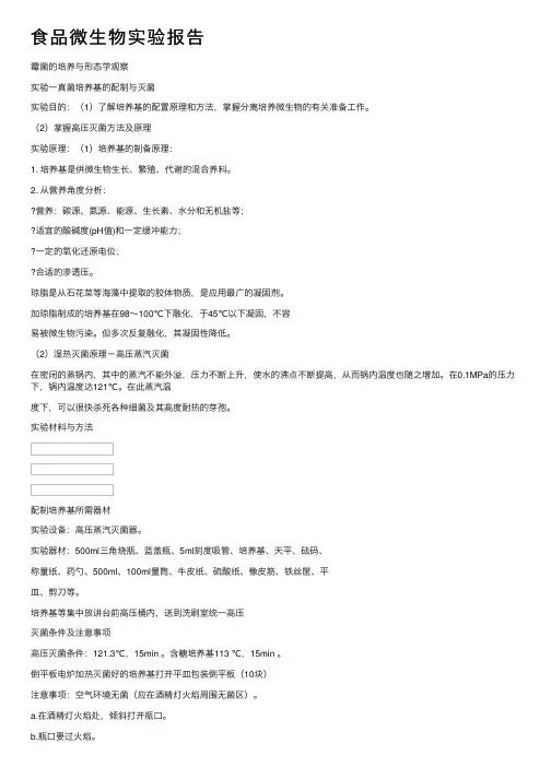 食品微生物实验报告