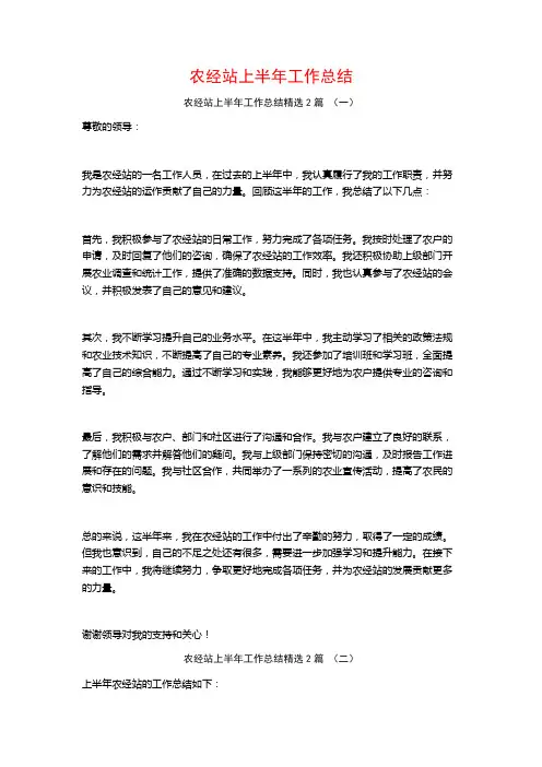 农经站上半年工作总结2篇