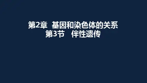 【新教材人教版生物】伴性遗传PPT实用课件1