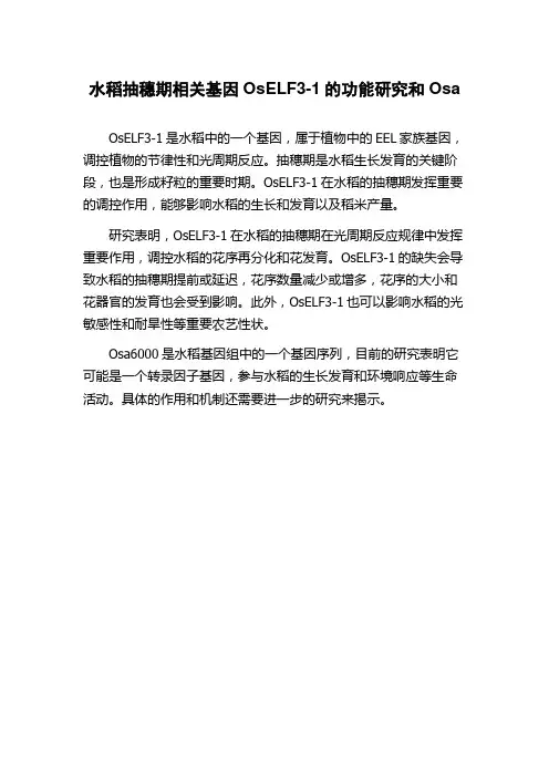 水稻抽穗期相关基因OsELF3-1的功能研究和Osa
