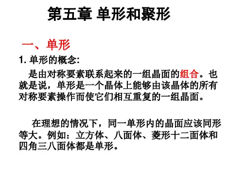 单形和聚形