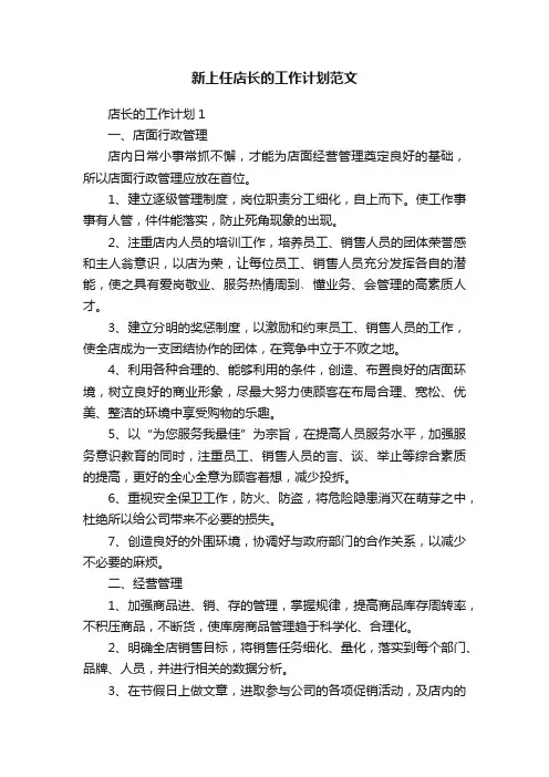新上任店长的工作计划范文