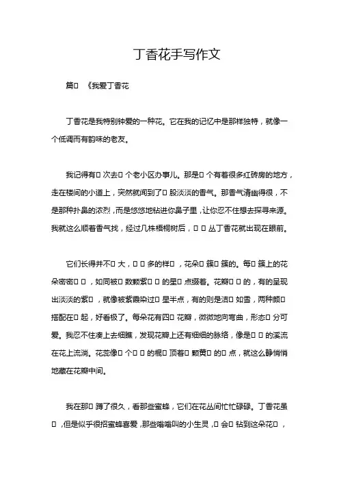 丁香花手写作文