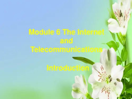 外研版高中英语必修一Module 6The Internet and Telecommunications130张PPT课件ppt