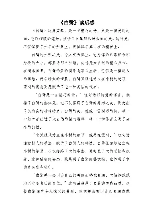 白鹭读后感