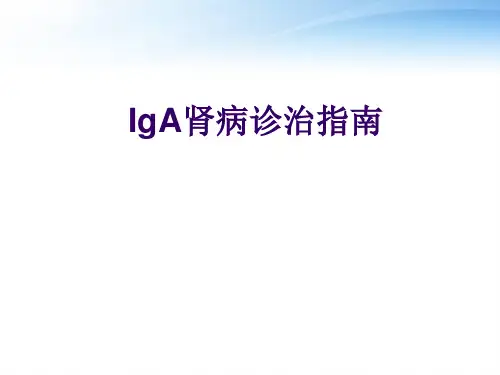 IgA肾病诊治指南