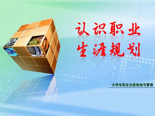 01 认识职业生涯规划