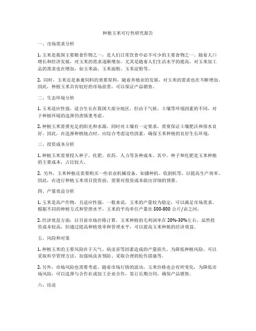种植玉米可行性研究报告