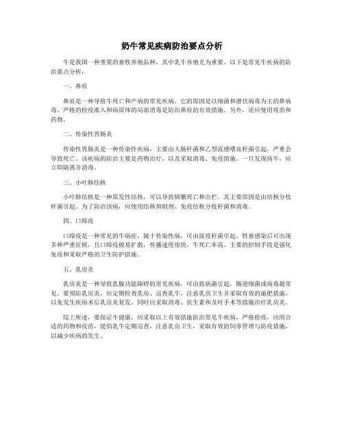 奶牛常见疾病防治要点分析
