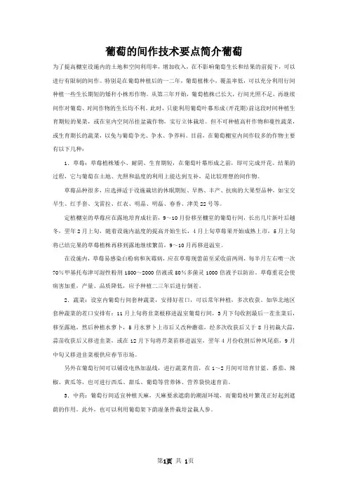 葡萄的间作技术要点简介葡萄