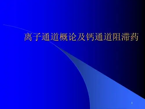 钙通道阻滞药