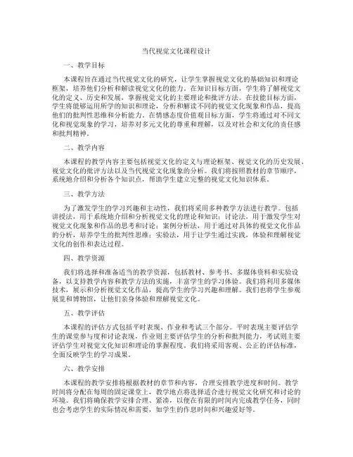 当代视觉文化课程设计